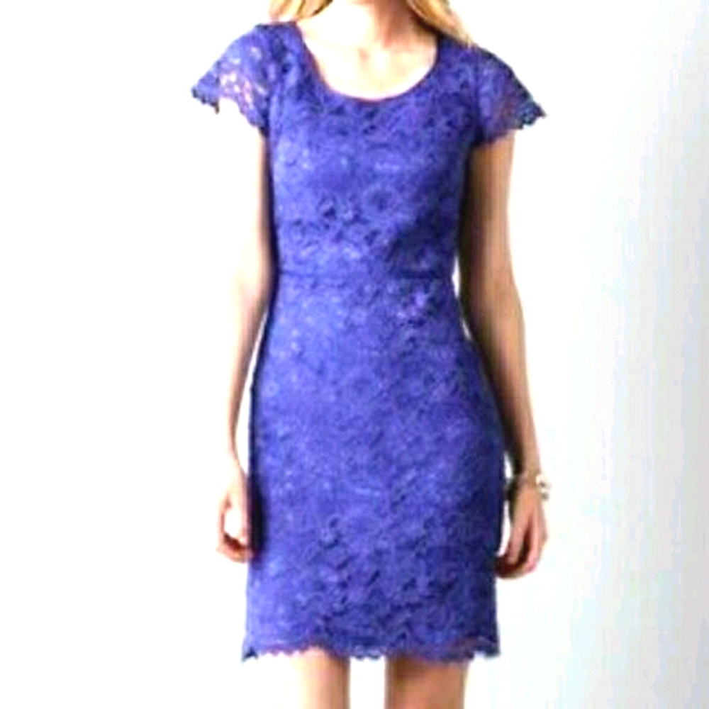 Loft Purple Floral Lace Shortsleeve Sheath Dress  w Scalloped Hem